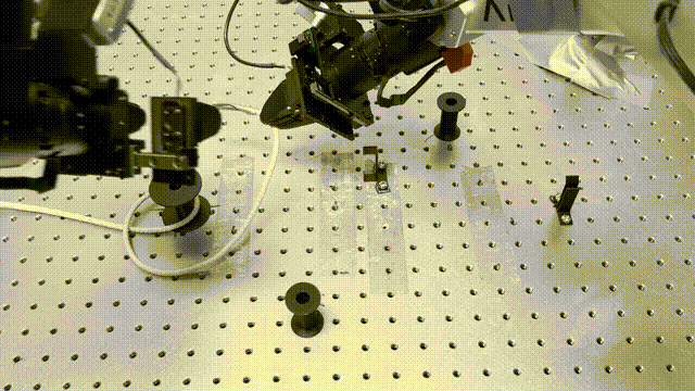 IMG_2532 00_00_00-00_00_30.gif